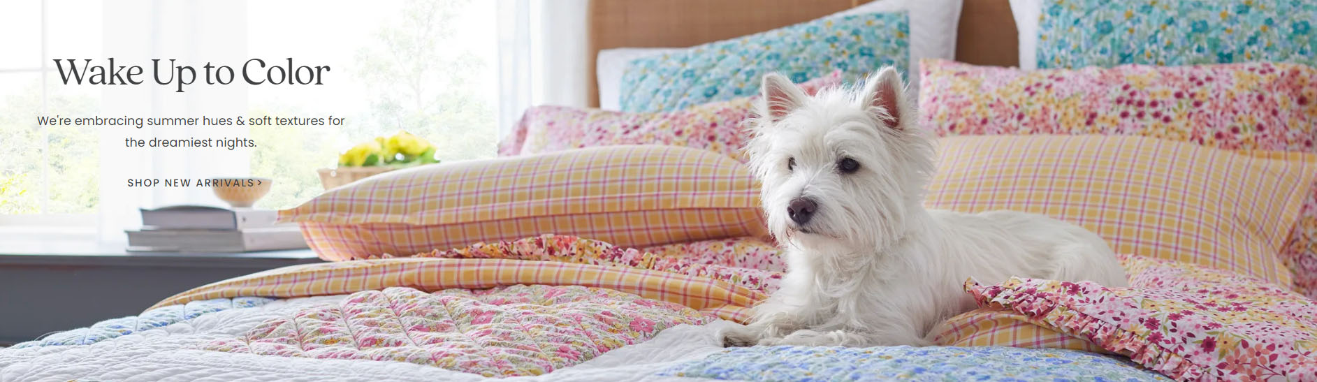 Bedding Specialty Shop -Bedding Specialty Shop DFGDFG